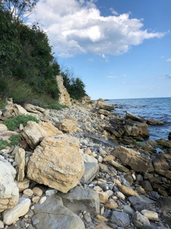 Coral Beach Корал Бийч 圣弗拉斯 外观 照片
